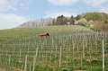 2009-04-13 10.43.30